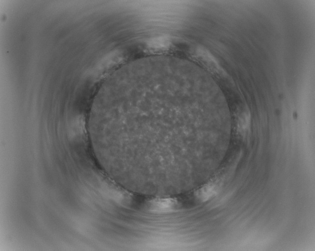 X0000070240711200606051125