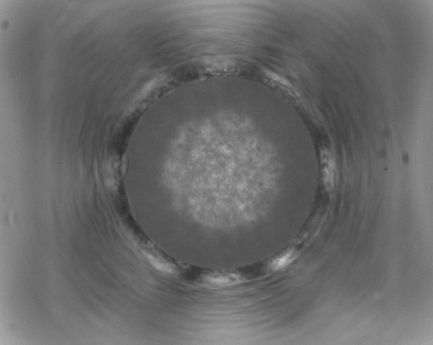 X0000070240712200606051125