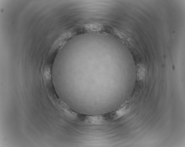 X0000070240713200606051125