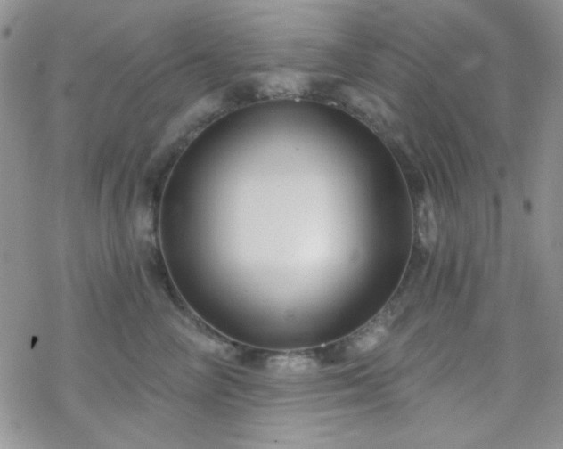 X0000070240714200606051125