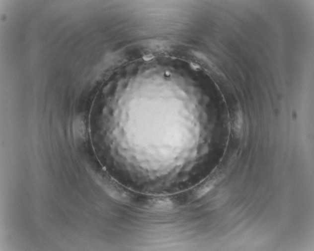 X0000070240715200606051125