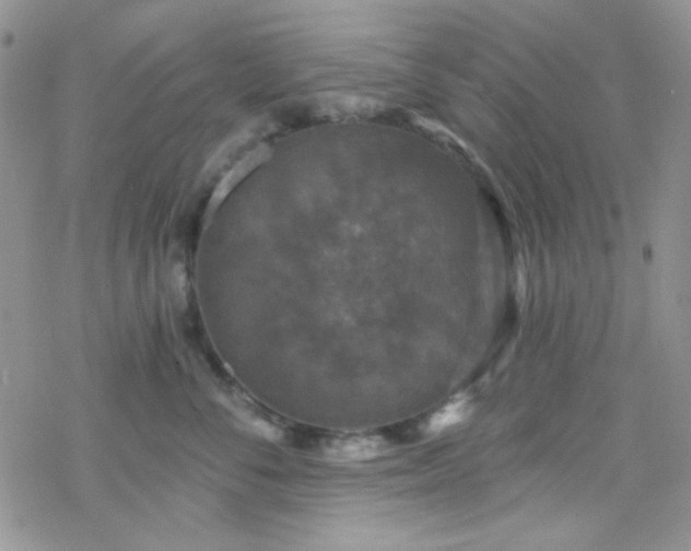 X0000070240716200606051125