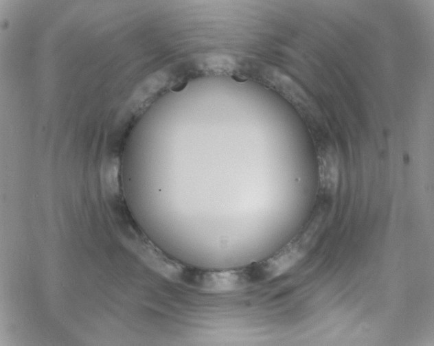 X0000070240717200606051125