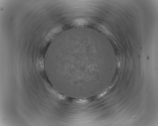 X0000070240718200606051125