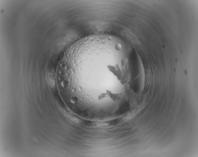 X0000070240719200606051125