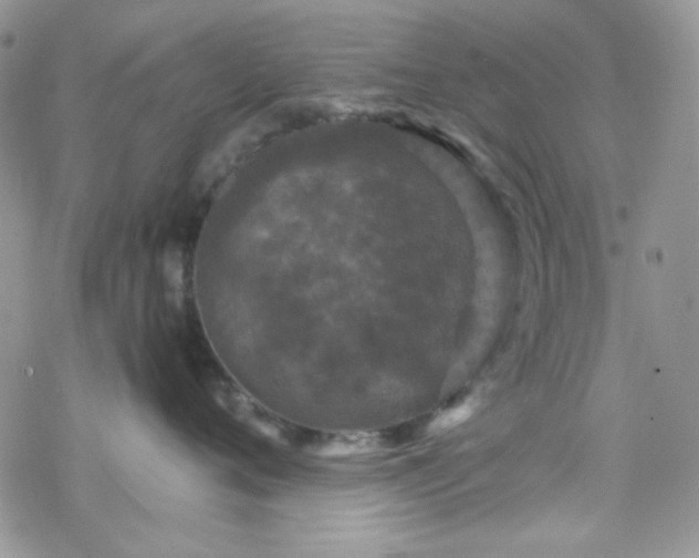 X0000070240720200606051125