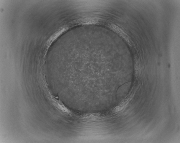 X0000070240721200606051124