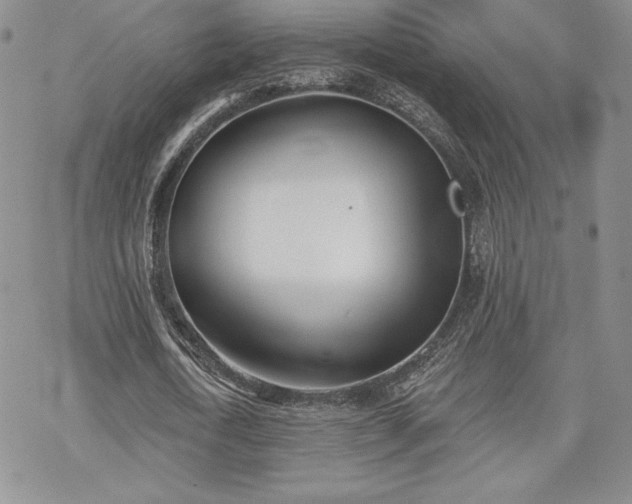 X0000070240722200606051124