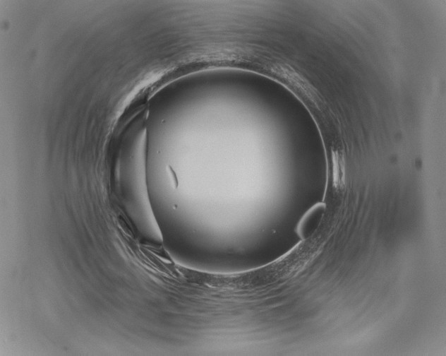 X0000070240723200606051124