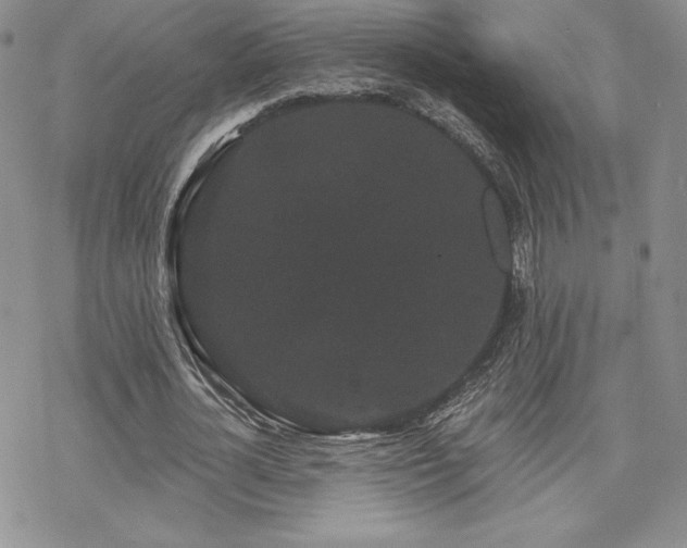 X0000070240724200606051124