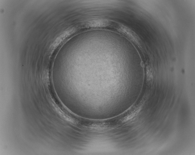 X0000070240725200606051124