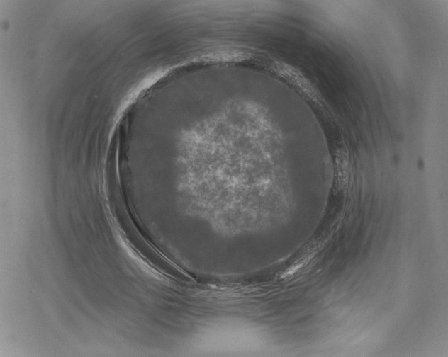 X0000070240726200606051124