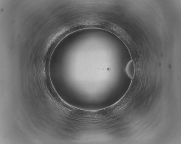 X0000070240727200606051124