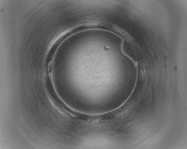 X0000070240728200606051124