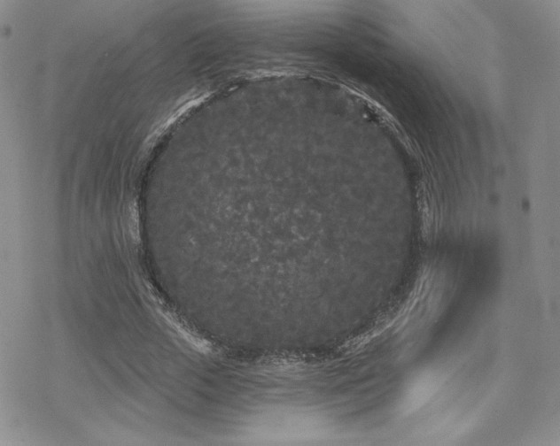 X0000070240729200606051124