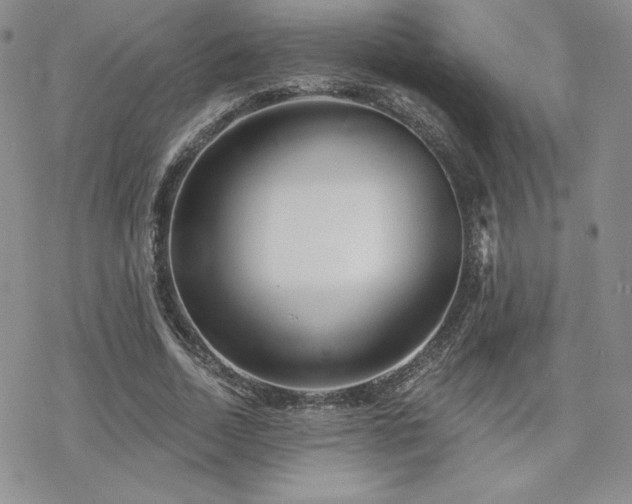 X0000070240730200606051124