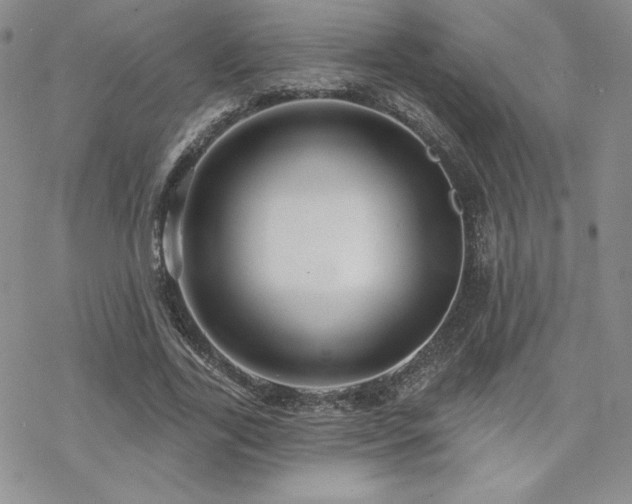 X0000070240731200606051124