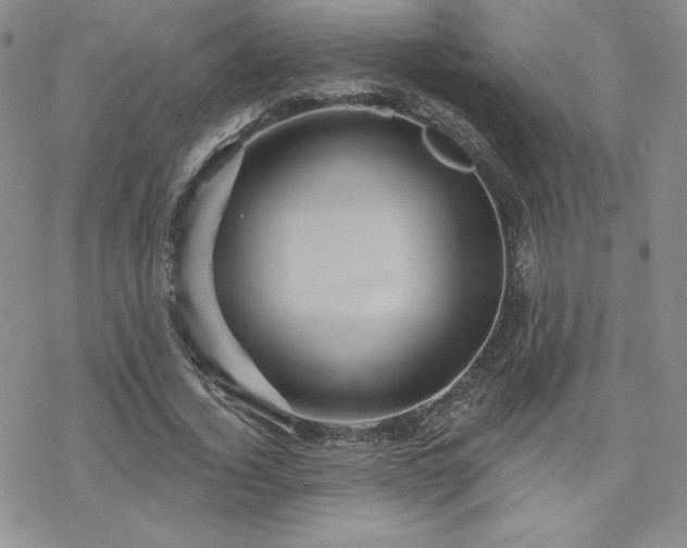 X0000070240732200606051124