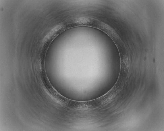 X0000070240734200606051124