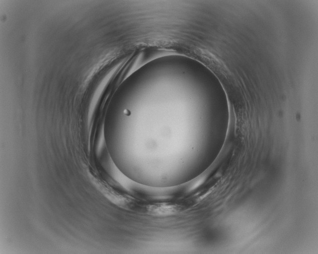 X0000070240735200606051124