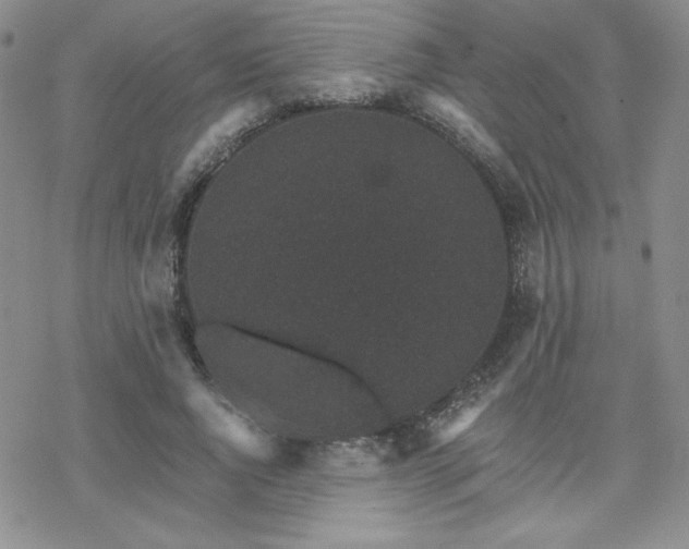 X0000070240736200606051124