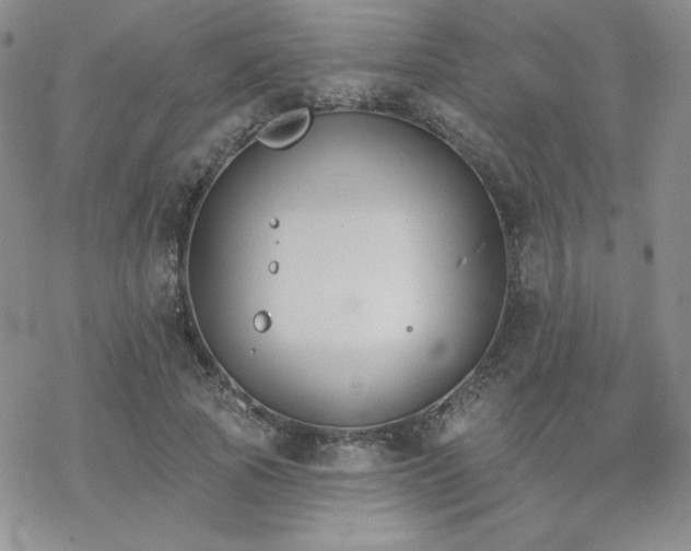 X0000070240737200606051124