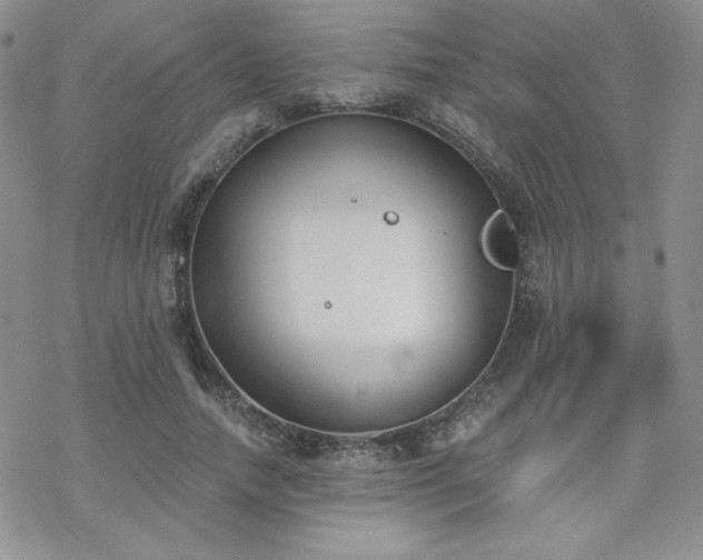 X0000070240738200606051124