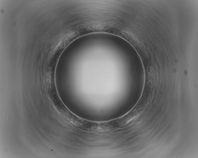 X0000070240739200606051124