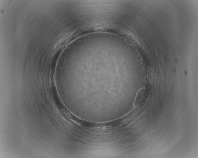 X0000070240740200606051124