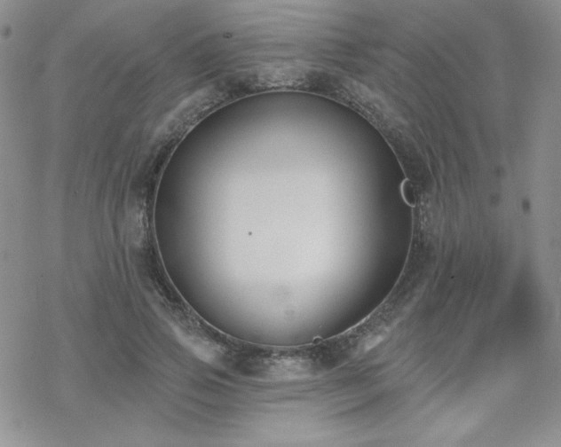 X0000070240741200606051124