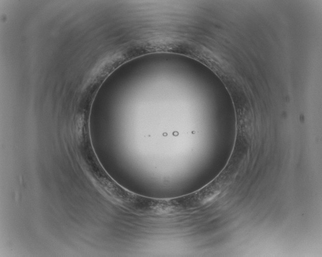 X0000070240742200606051124