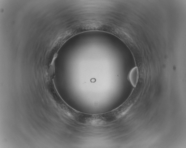 X0000070240743200606051124