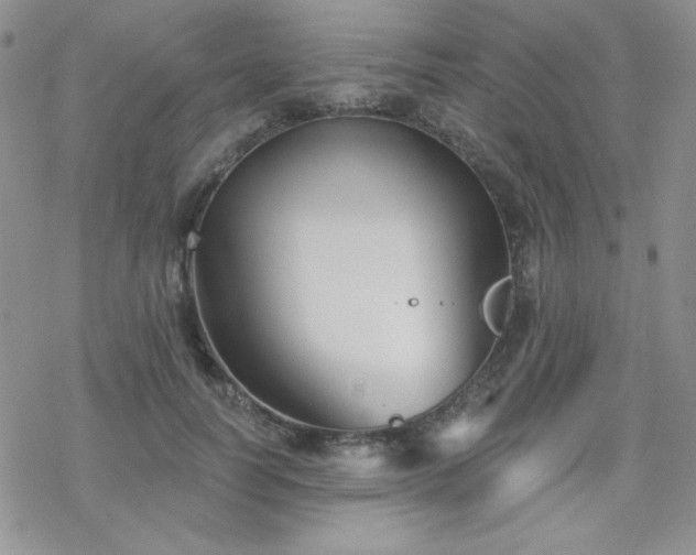 X0000070240746200606051124