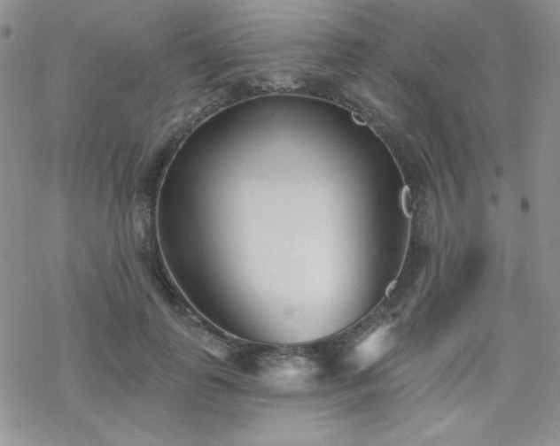 X0000070240747200606051124