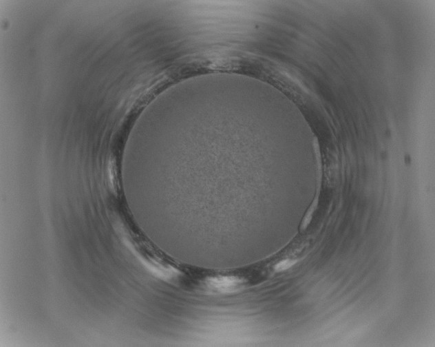 X0000070240748200606051124