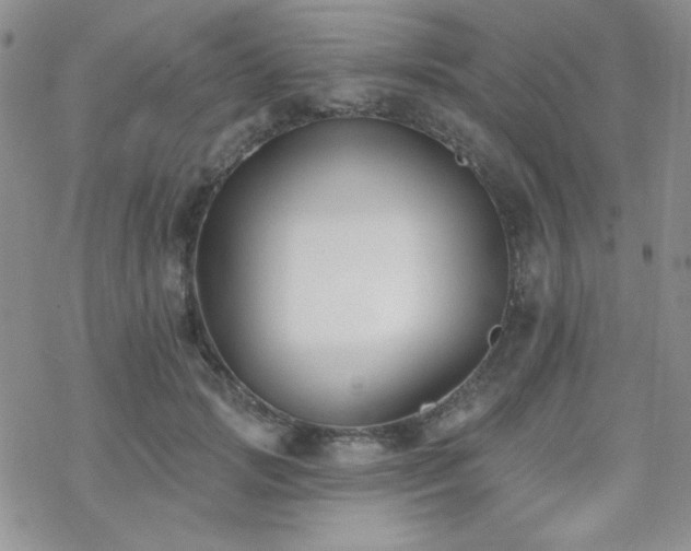 X0000070240749200606051124