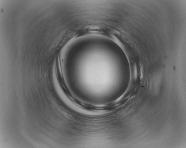 X0000070240750200606051124