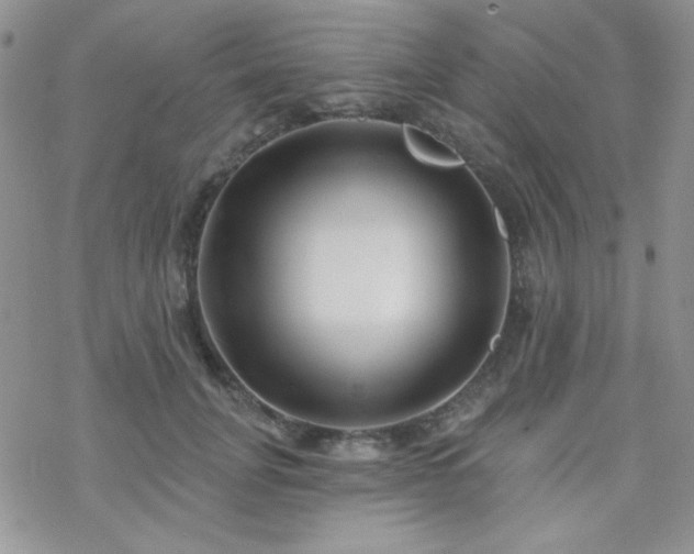 X0000070240751200606051124