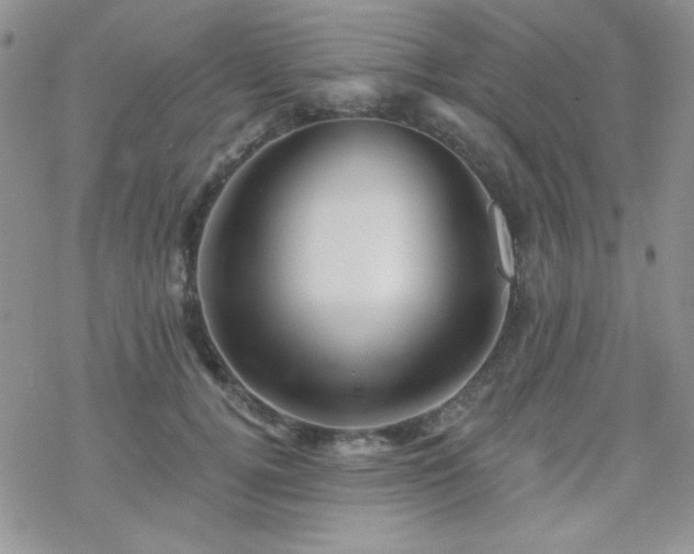 X0000070240752200606051124