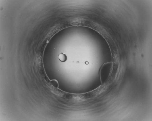 X0000070240753200606051124