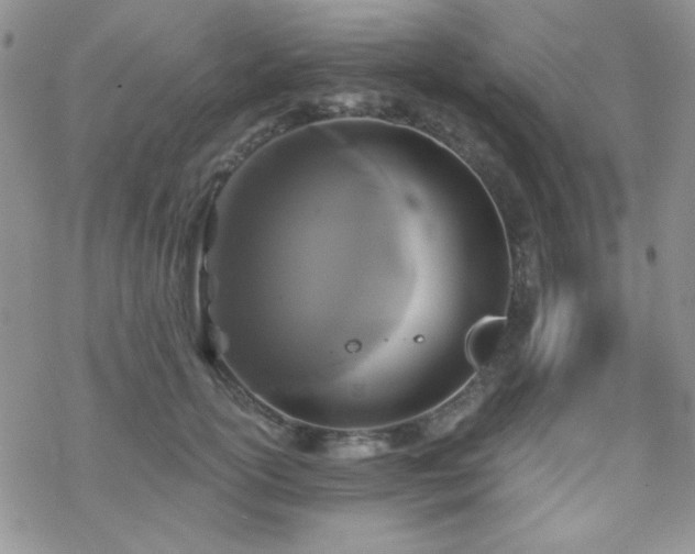 X0000070240754200606051124