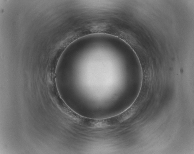 X0000070240755200606051124