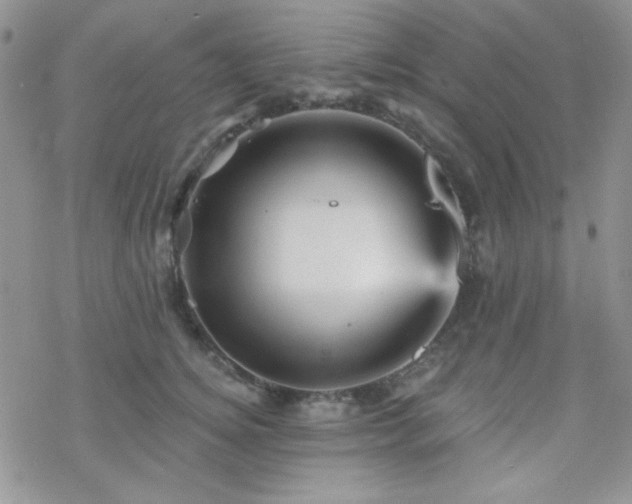 X0000070240756200606051124