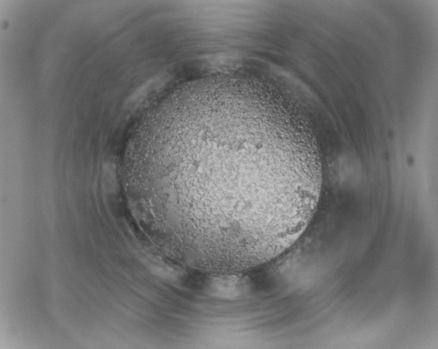 X0000070240757200606051124