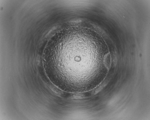 X0000070240758200606051124