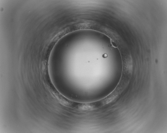 X0000070240759200606051124