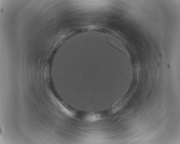 X0000070240760200606051124