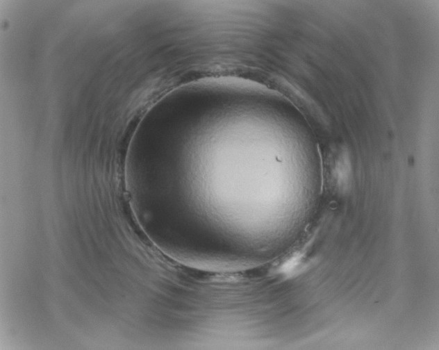 X0000070240762200606051125