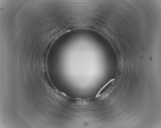 X0000070240764200606051125