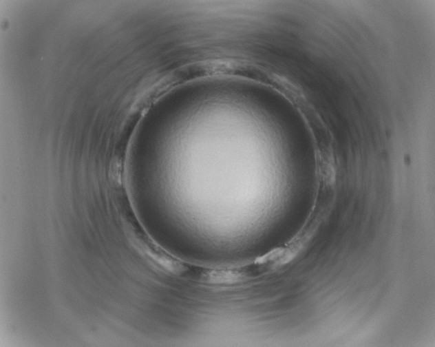 X0000070240766200606051125